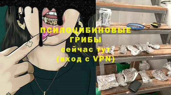 PSILOCYBIN Алексин