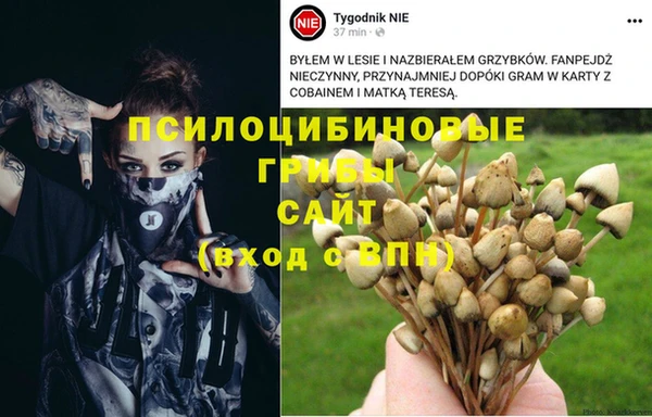 спайс Алексеевка