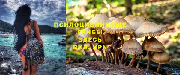 спайс Алексеевка