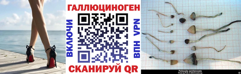 Псилоцибиновые грибы MAGIC MUSHROOMS  купить наркотик  Ноябрьск 